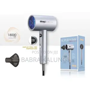 DSP Portable Hair Dryer Nanoe Water Ion Hair Care