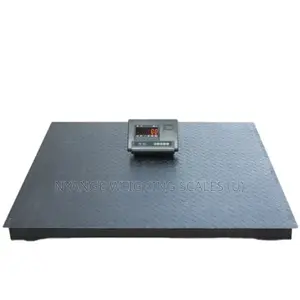 High Accuracy Weigh Iron Cast Nutrition Food Weighing Scale A12e