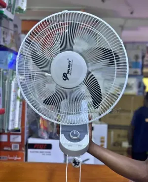 Dp Light Reliable 16 Inch Oscillating Rotating Wall Fan
