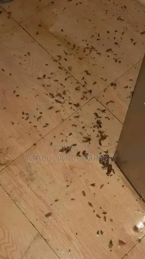 Fumigation Services in Kampala