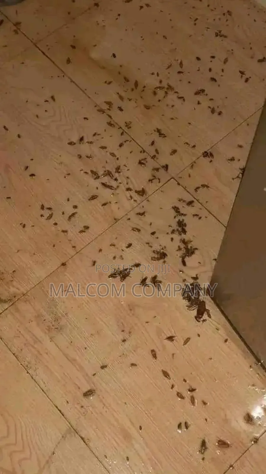 Fumigation Services in Kampala