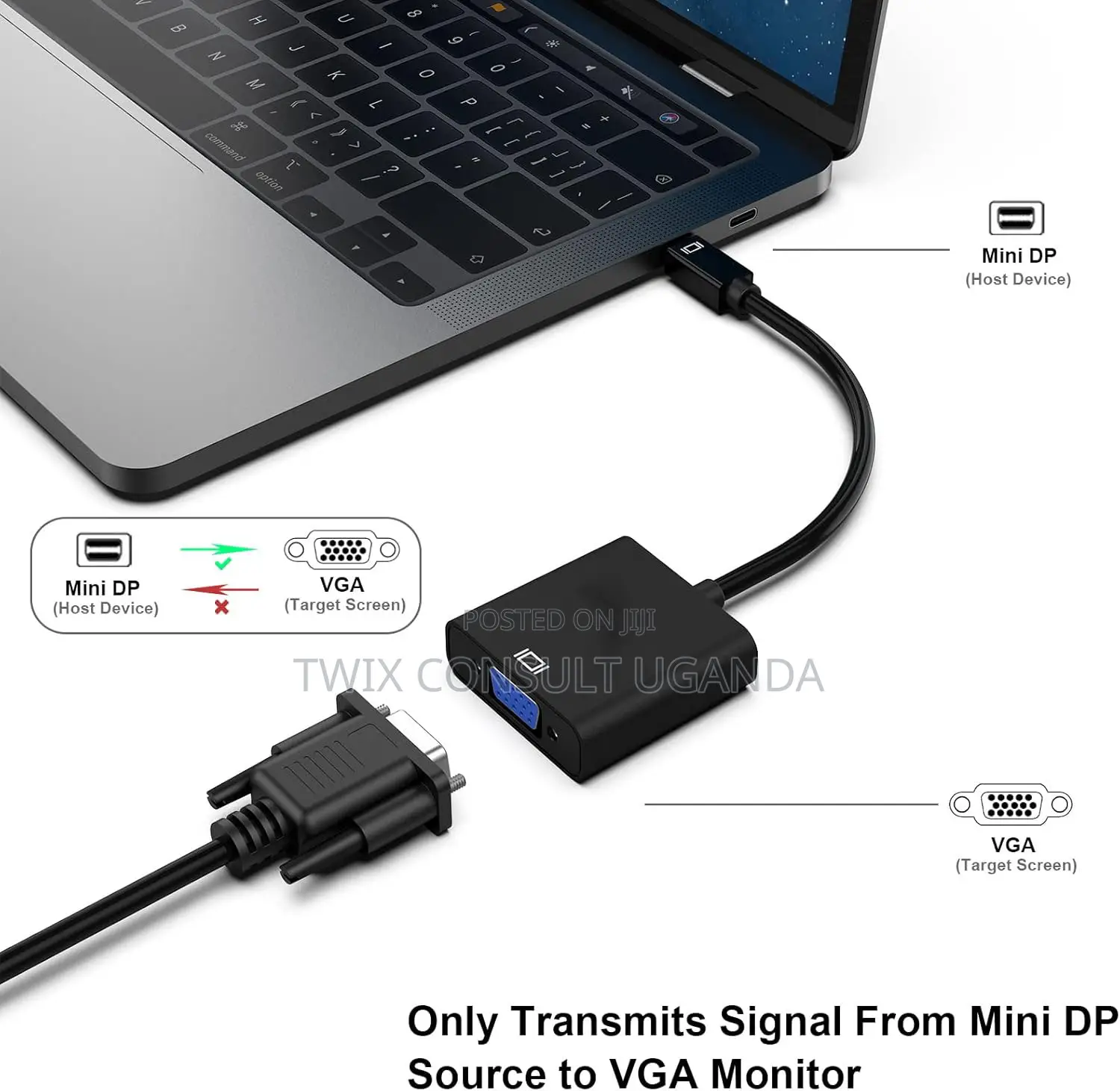 Mini Displayport to VGA Adapter,