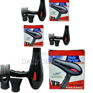 Electric Hair Dryer