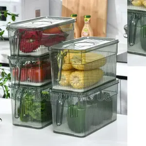 Refrigerator Containers
