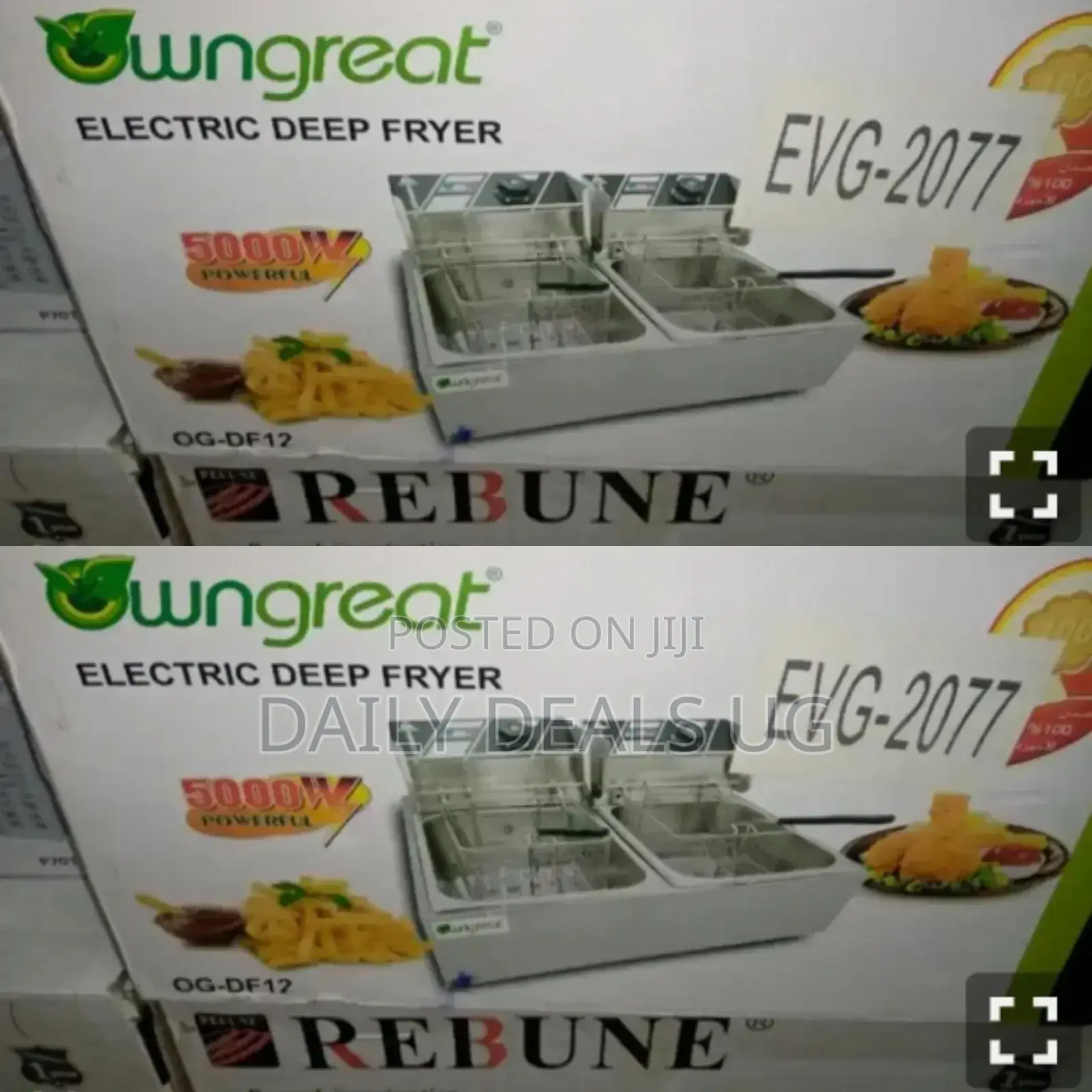 Double Deep Fryer