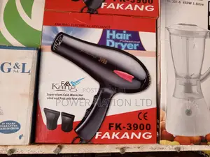 Fakang Hair Dryer