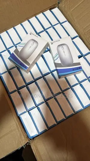 Mouse Wireless and Rechargeable