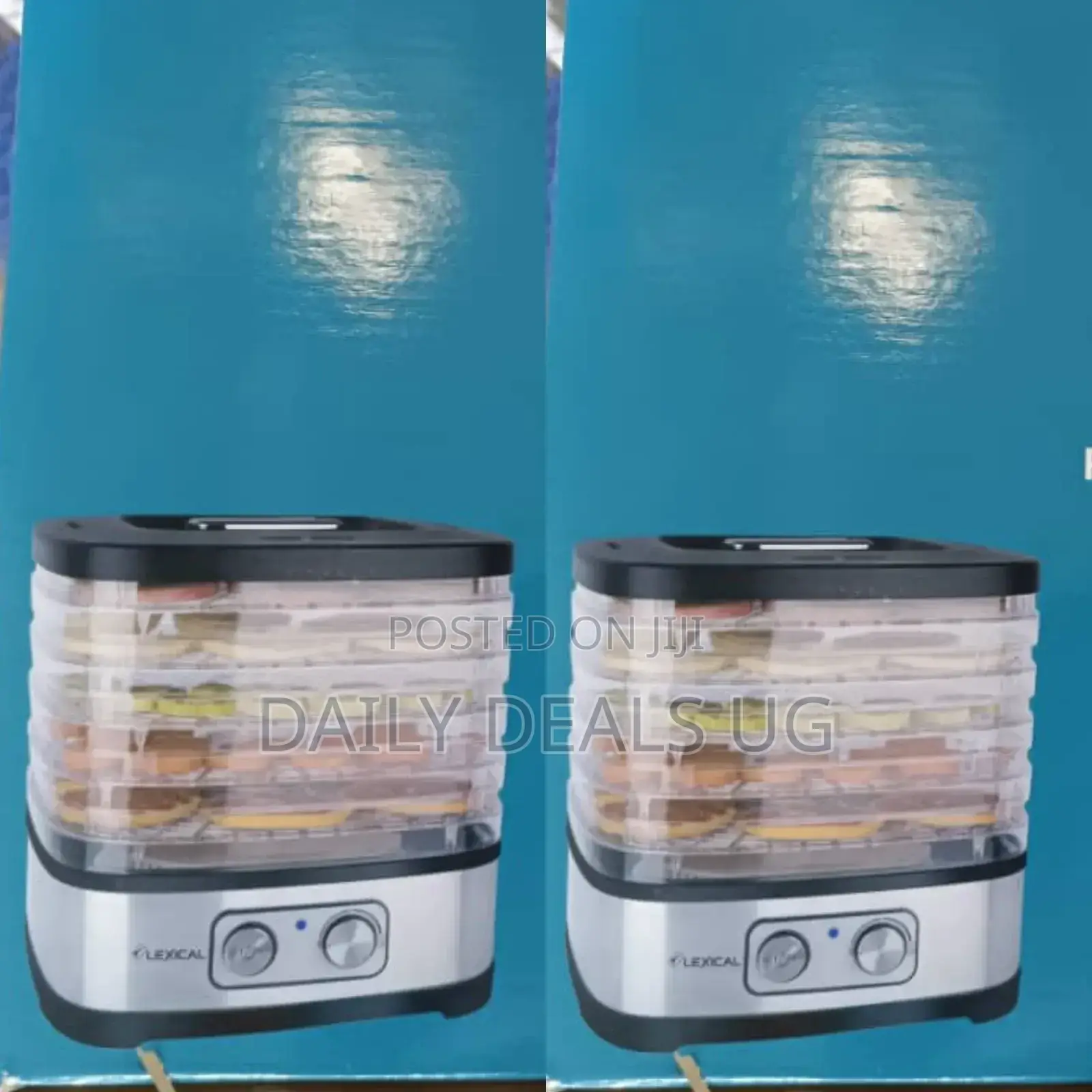 Electric Fruit Dehydrator