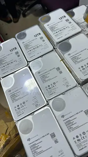 12 Terabyte Hard Disk 12 Tb Hard-Drive