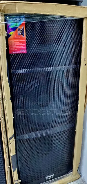 Viliodor Professional Speaker
