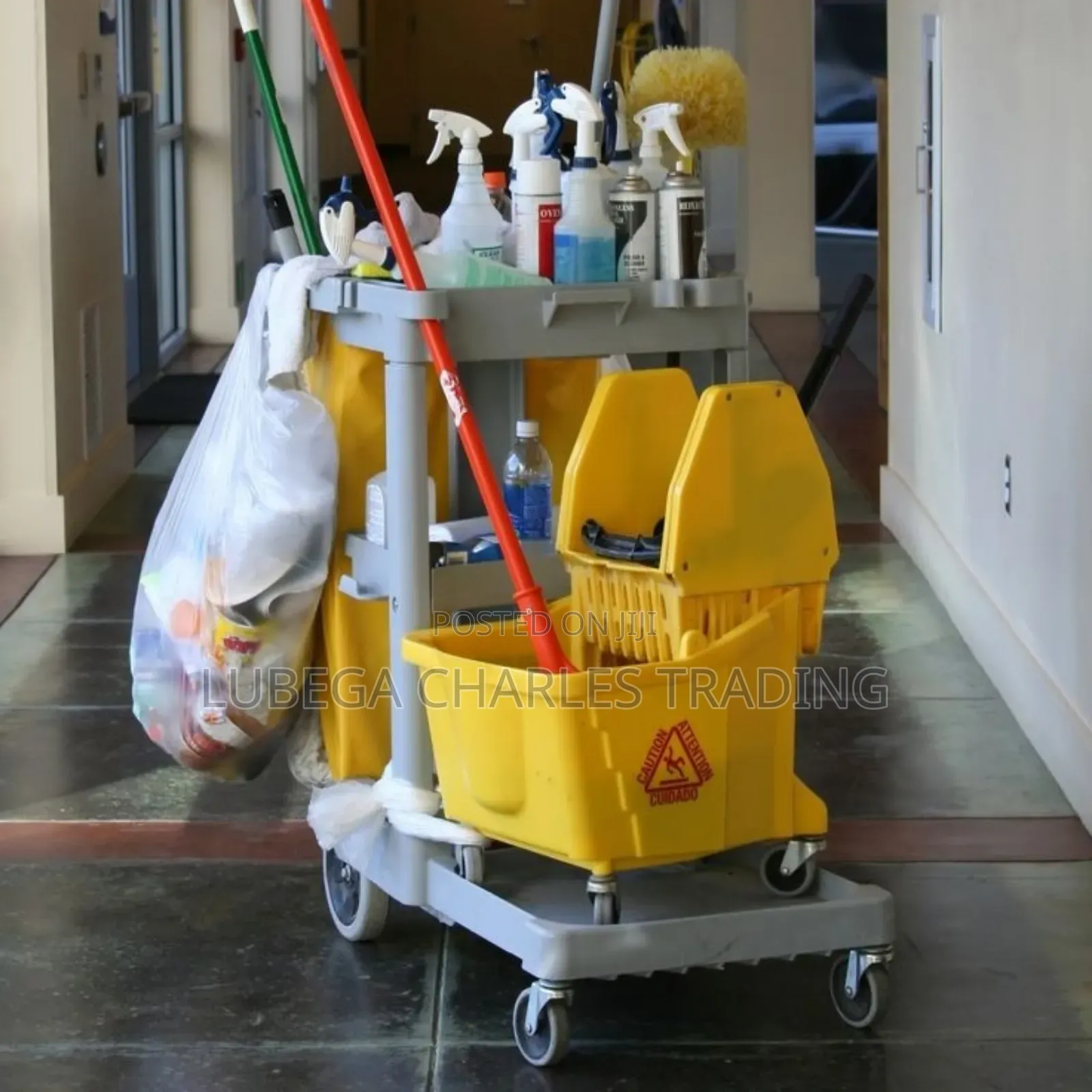 Professional Carpet Cleaning