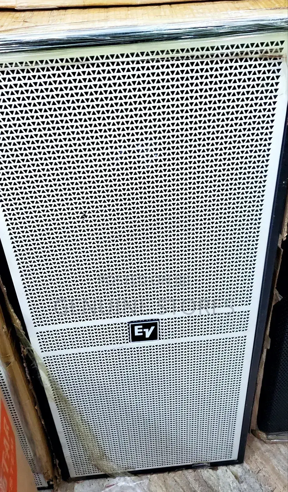 Professional EV Speaker