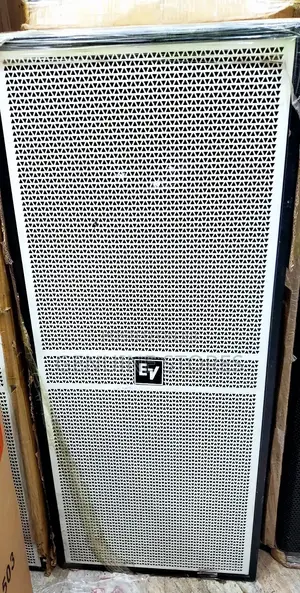 Professional EV Speaker