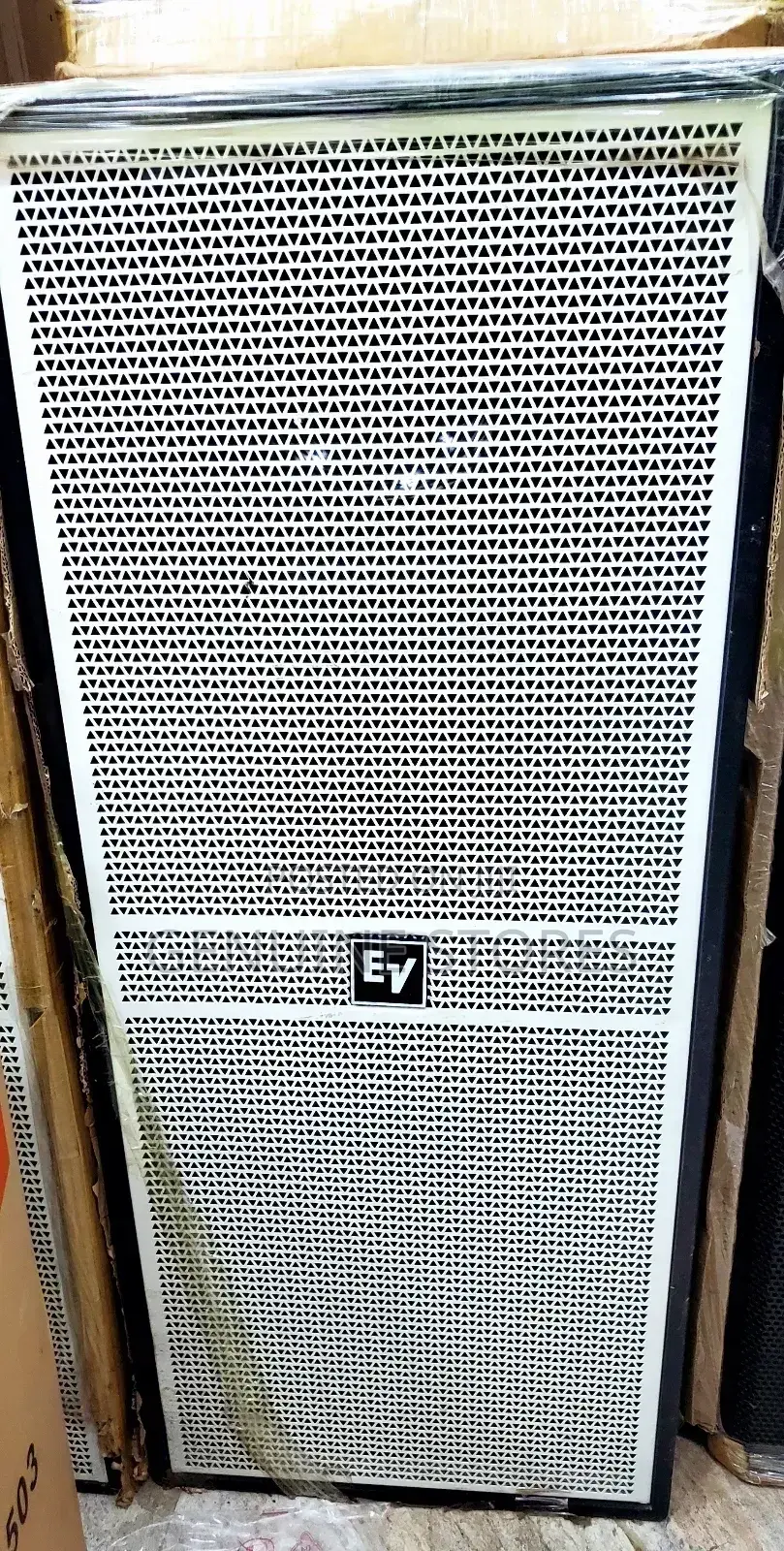 Professional EV Speaker