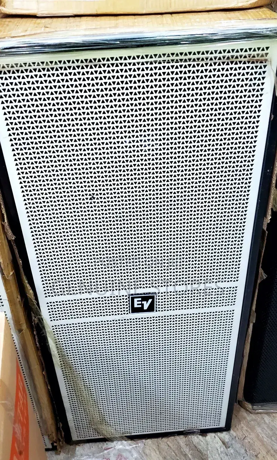 Professional EV Speaker
