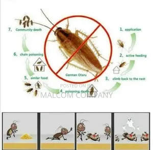 Cockroach Killing Bait. 50pcs/ Box