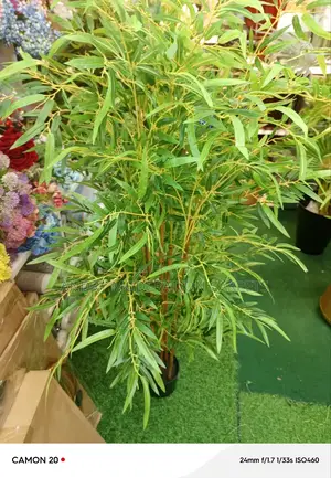 Modern Artificial Plant
