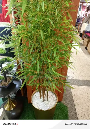 Modern Artificial Plant
