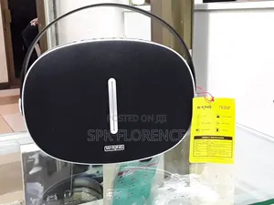 W-King T8 Wireless Speaker