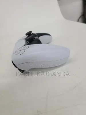 Ps5 Dual Controller