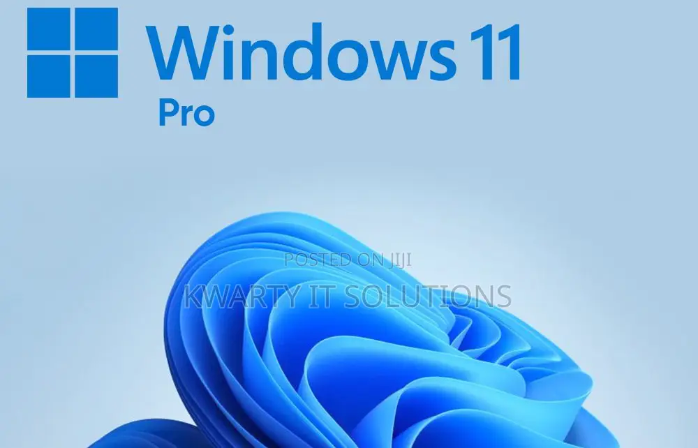 Windows 11 Pro Installation