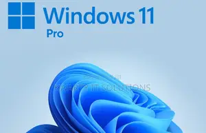 Windows 11 Pro Installation