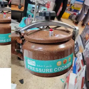 Electric HTC Pressure Cooker