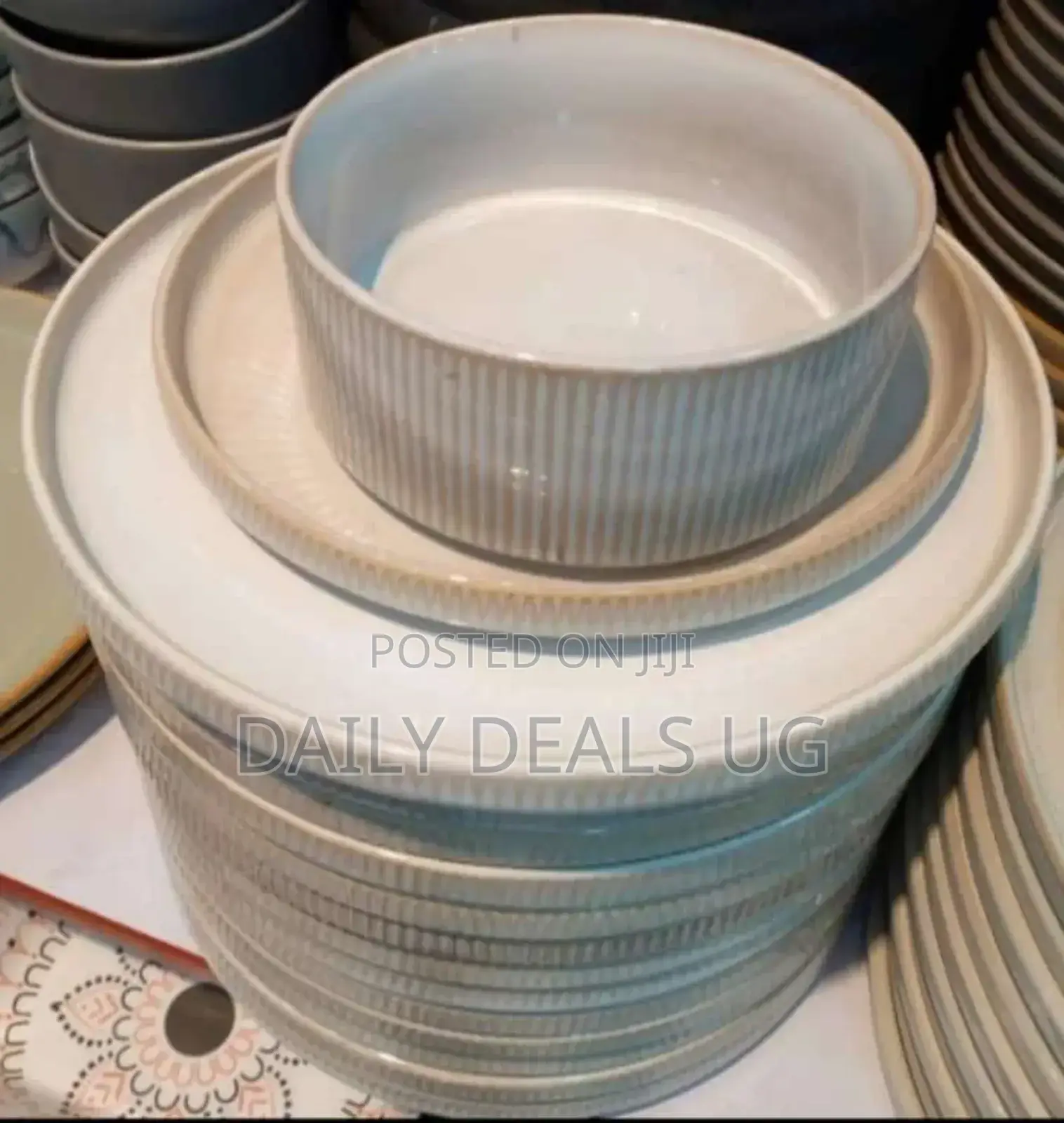 Dinner Plate Set