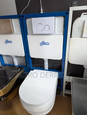 Concealed Toilets