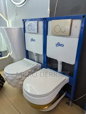 Concealed Toilets