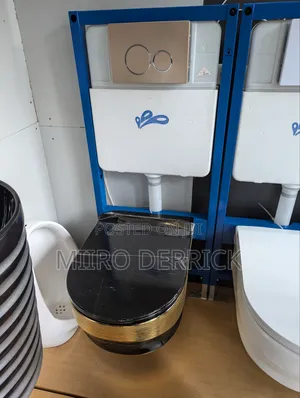 Concealed Toilets