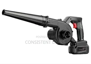 2in1 Rechargeable Professional Air Blower