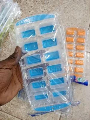 12 Partition Ice Cube Tray