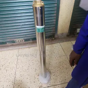 Water Pump Frog 300M