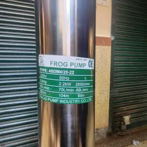 Water Pump Frog 300M