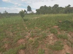 Plot for Sale in Jinja City