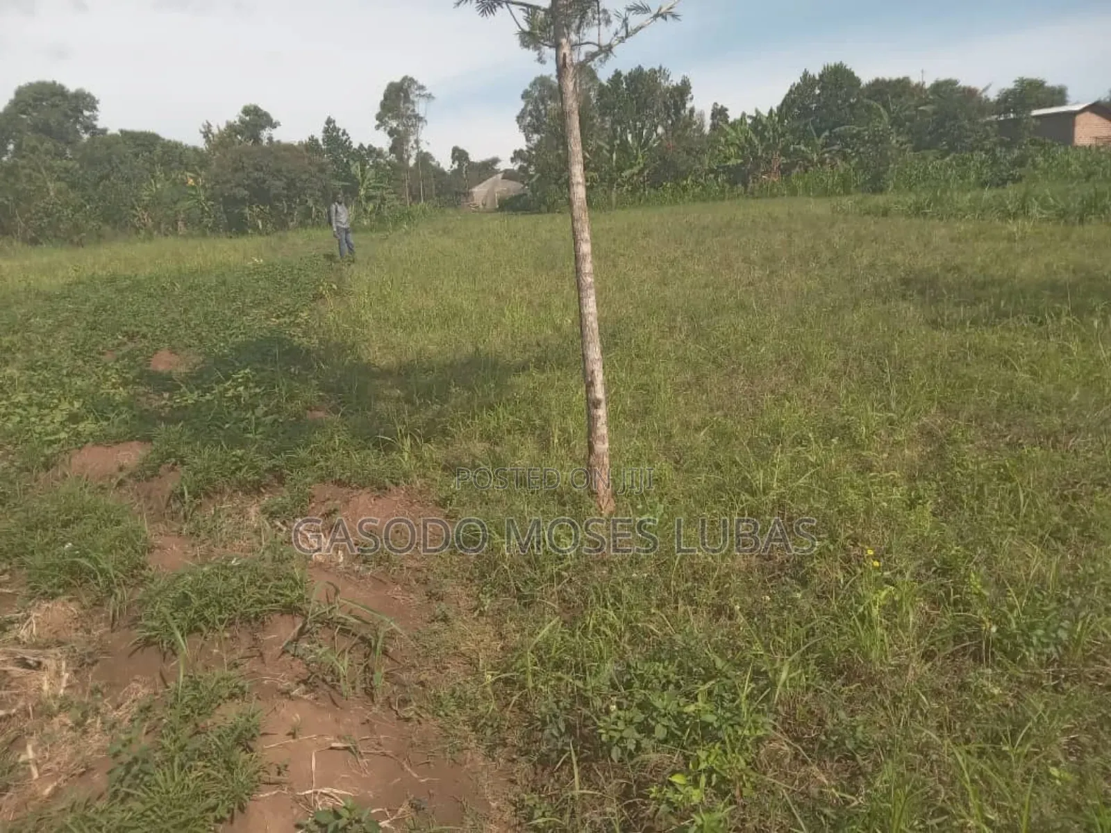 Plot for Sale in Jinja City