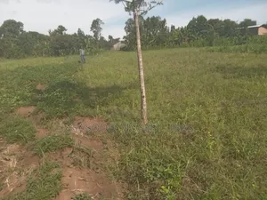 Plot for Sale in Jinja City
