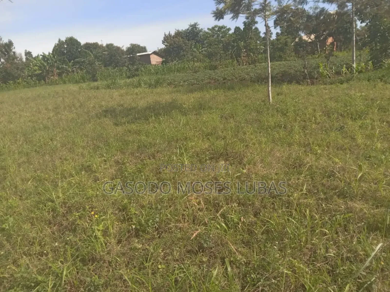 Plot for Sale in Jinja City