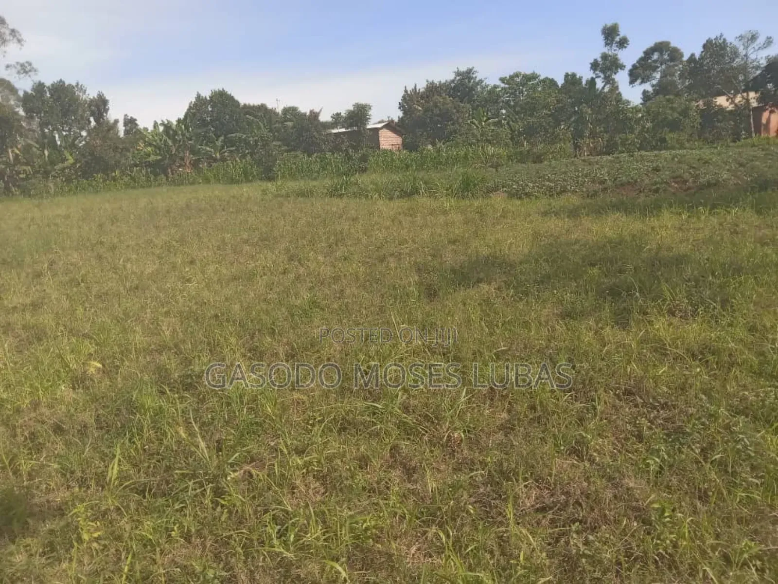Plot for Sale in Jinja City
