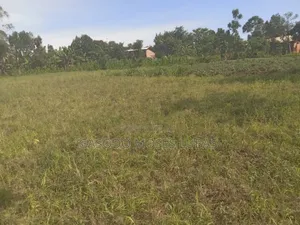 Plot for Sale in Jinja City