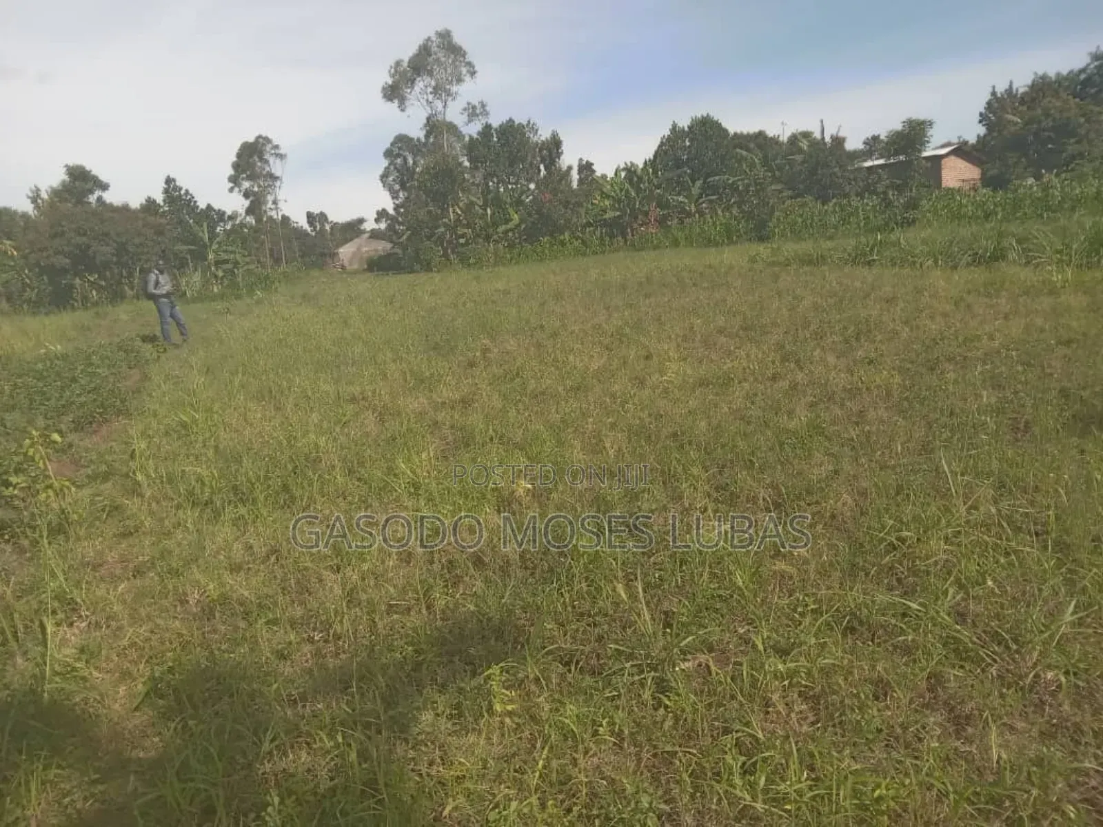 Plot for Sale in Jinja City