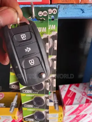 Car Remote Batteries