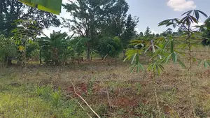 1 Ahalf Acre for Sale at Butambala at 45m