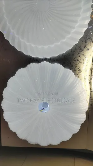 Ceiling Lights