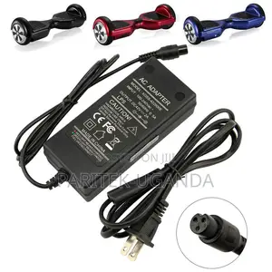 Hoverboard Charger 3 Prong
