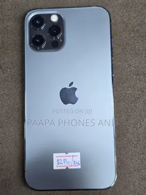 Apple iPhone 12 Pro 256 GB Gray