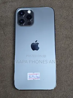 Apple iPhone 12 Pro 256 GB Gray