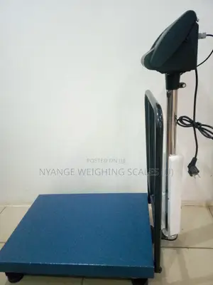 300kg Weigh Heavy Duty Weighing Scale Platform Digital Weighing Scale