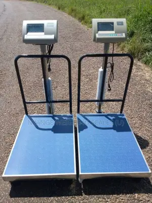 Heavy Weigh Duty Floor Weighing Scale 500kg Digital Weighing Scale